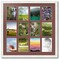 ArtToFrames Collage Photo Picture Frame with 12 - 5x7 inch Openings, Framed in White with Over 62 Mat Color Options and Plexi Glass (CSM-3966-229)